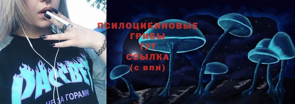 прущая мука Горно-Алтайск
