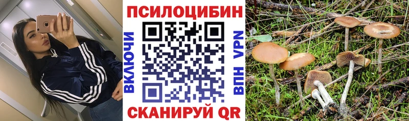Галлюциногенные грибы MAGIC MUSHROOMS  где купить наркотик  Ангарск 